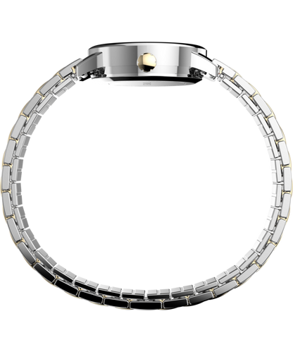Timex Easy Reader 25mm Expansion Band