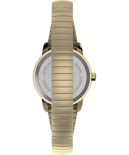 Timex Easy Reader 25mm Expansion Band Watch