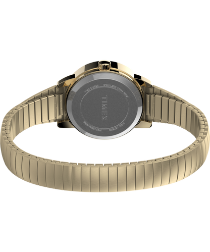 Timex Easy Reader 25mm Expansion Band Watch